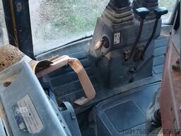 Terna articolata WB98A-2