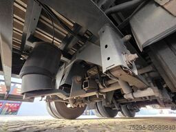 SCHWARZMÜLLER SJ / Schwanenhalstrailer