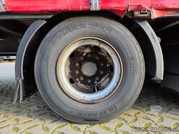 SCHWARZMÜLLER SJ / Schwanenhalstrailer