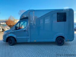 MERCEDES-BENZ STX Sprinter  3.500KG  Haras Hengste