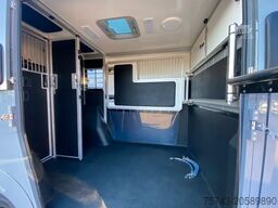 MERCEDES-BENZ STX Sprinter 3.500KG Haras Hengste