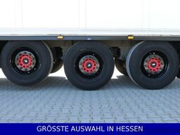 SCHMITZ CARGOBULL Blumenbreite Liftachse Palettenkasten ¤559mtl.