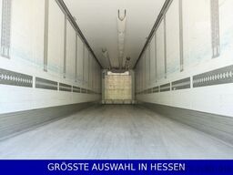 SCHMITZ CARGOBULL Blumenbreite Liftachse Palettenkasten ¤559mtl.