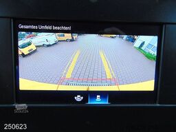 MERCEDES-BENZ Sprinter 314 CDI KLIMA-KAMERA-REGALSYSTEM