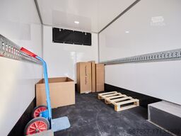 renault master Lowliner
