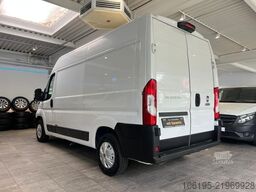 FIAT Ducato Kühlwagen Carrier - 20C.*Garantie*