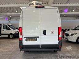 FIAT Ducato Kühlwagen Carrier - 20C.*Garantie*