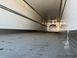WEB-TRAILER TKS 18 * KÜHLKOFFER * CARRIER VECTOR 1350 * SAF