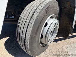DAF LF 210 FA