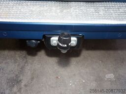 RENAULT Trafic Combi L2H1 Grand SpaceClass Camper TüvNeu