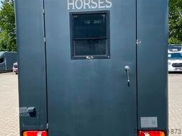 RENAULT Master STX 3 Sitzer  Automatik Haras / Hengste