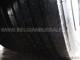 Iveco Evadys 13m / WC / 3-Point seat belts / NEW!!