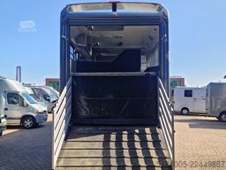 Mercedes-Benz Antos Occasion paardenwagen AKX 6 paarden plus ...