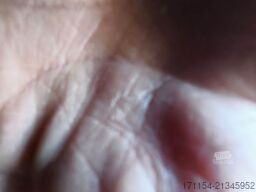 FORD Westfalia Nugget, Aufstelldach, Automatik, AHK