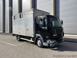 DAF LF 45