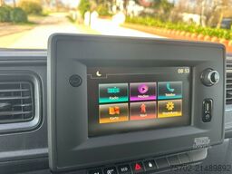 Renault Master Haras 1-2 Pferde