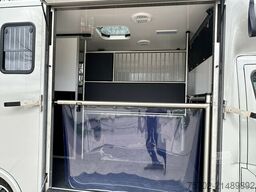 Renault Master Haras 1-2 Pferde