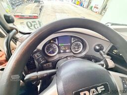 DAF XF 480 Spacecab