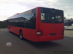 MAN A 20 Lions City, Deutscher Bus, ID: 1843