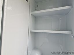 Renault Master ZE MTM S3 nieuw paardenwagen elektrisch ...