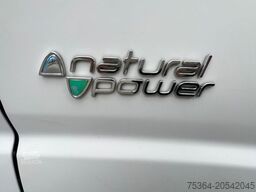 FIAT Ducato 3.0 Natural Power/CNG/Benzin 9 Sitze Pdc