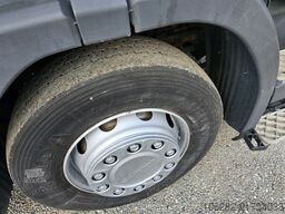 SCANIA P94DB4X2NB230 mit NORBA RL200 14.1cub