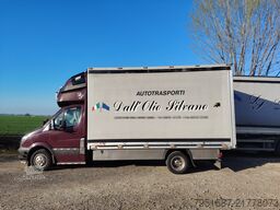 Mercedes-Benz Sprinter 419