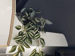 YUCON Microliner 7.0 GD 4.1 t 4x4 K-Peak Markise Wi-Fi