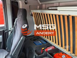 MAN TGX 33.480 L.2007.46.004