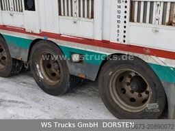 MENKE-JANZEN Tandem 3 Achsen | 2 Stock | Hubdach | Aggregat