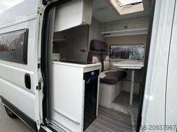 ROLLER TEAM LIVINGSTONE 2 Abverkauf Vorjahresmodell