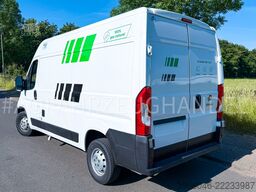 Fiat Ducato NP CNG/Benzin Carrier Xarios 200