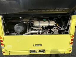 Scania Hess LE KUB