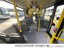 MAN A23Lion?sCity/A40/O530GCitaro/EEV