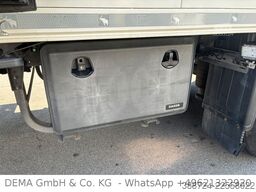 SCHMITZ CARGOBULL SCB/S3B*Liftachse*TÜV* 5 Rohrbahnen*Carrier I950