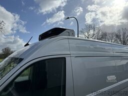 MAN TGE 3.180 L5 Kühlkasten MAXI Lang super hoch