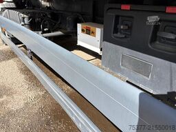 MAN TGS 18.440 Thermo king LBW Rockinger, 247 Breit...