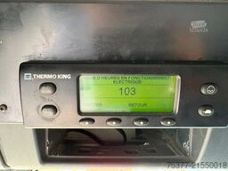 MAN TGS 18.440 Thermo king LBW Rockinger, 247 Breit...