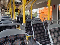 IVECO Daily Heckniederflur Elektro City Stock