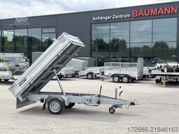 Variant 1815 T2 254X145X35CM 1800KG RÜCKWÄRTSKIPPER