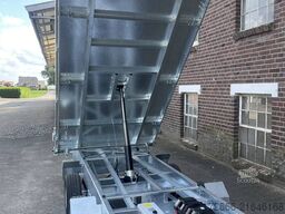 Variant 3517 TB 320X168X35CM 3500KG DREISEITENKIPPER