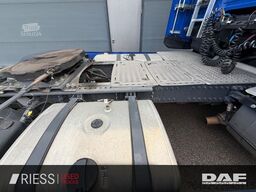 DAF XG+ 530 FT AUT LM SpurH SpurW