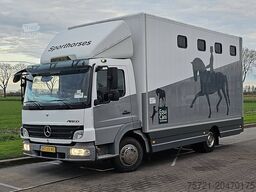 MERCEDES-BENZ ATEGO 818