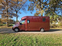 Opel Movano Occasion paardenwagen automaat 5 zitplaa...