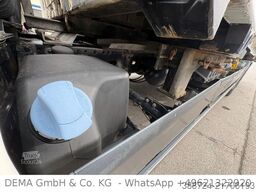 MAN TGX26460*Mit Wechselbrücke*Spier*Liftachse*Klima