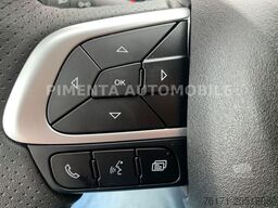 IVECO Daily 50C18A8 TK AUT TRENNWAND BI-TEMP LED KLIM