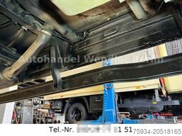 MERCEDES-BENZ Vario 814D Diff Klima Standh120km/h  restauriert