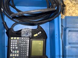 Anemone Horse Trucks Anemone Horse Trucks Anemone Horse Trucks