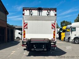 VOLVO FM330 E6D Tiefkühler 8,20m Thermoking T1200 ACC