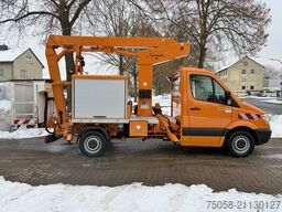 Mercedes-Benz SPRINTER 313 - Ruthmann K110